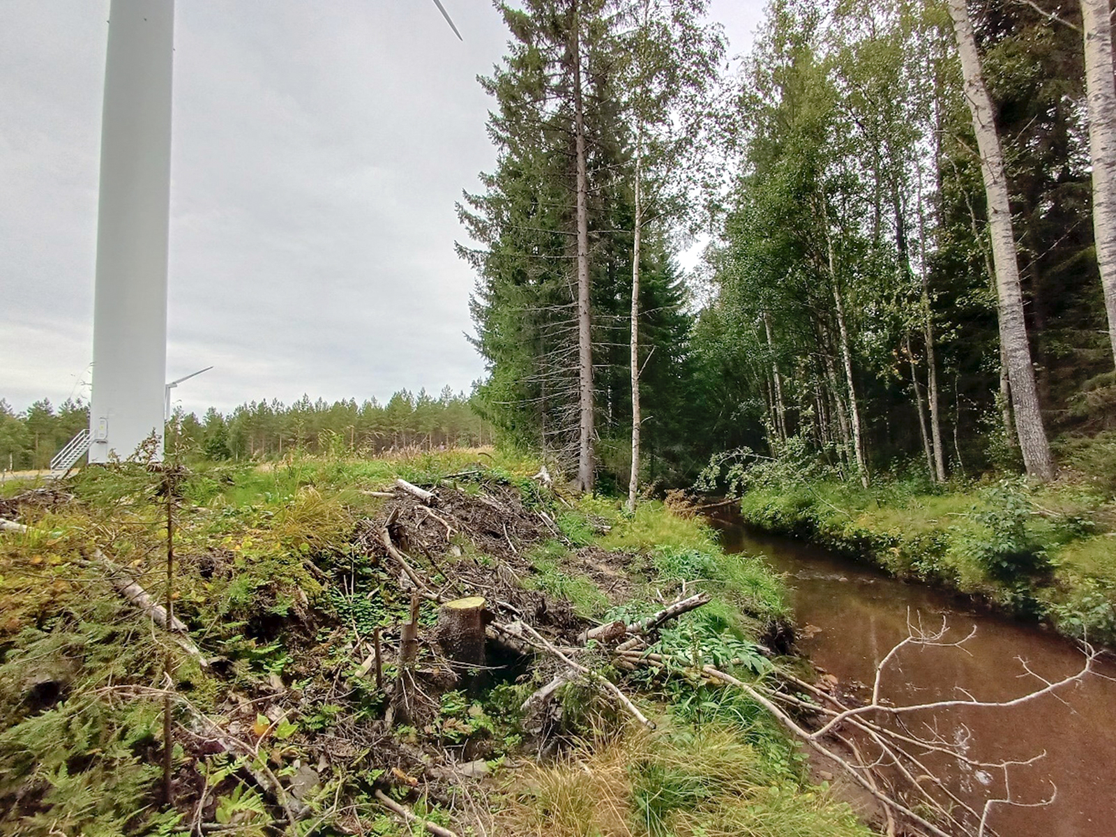 Tuulivoimalan juurella raivattua maata, vieressä kaistale metsää ja puro.