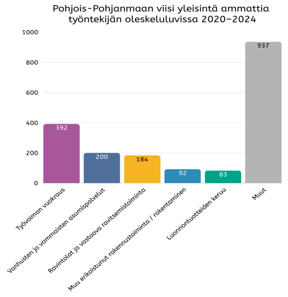 Pylväsdiagrammissa Pohjois-Pohjanmaan viisi yleisintä ammattia työntekijän oleskeluluvissa 2020-2024: työvoiman vuokraus 392, vanhusten ja vammaisten asumispalvelut 200, ravintolat ja vastaava ravitsemistoiminta 184, muu erikoistunut rakentamistoiminta/rakentaminen 92, luonnontuotteiden keruu 83, muut 937.