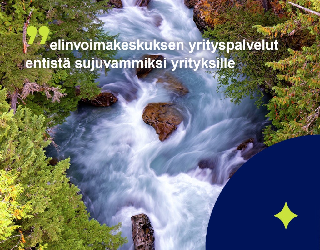 Virtaavaa vettä metsän keskellä, sitaatti "elinvoimakeskuksen yrityspalvelut entistä sujuvammiksi yrityksille".